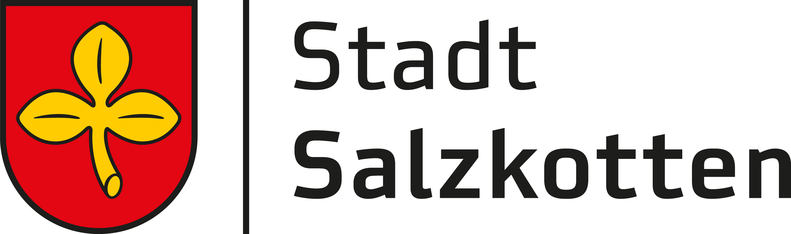3. Salzkotten im Landkreis Paderborn